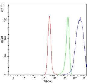 Solo Antibody / SESTD1