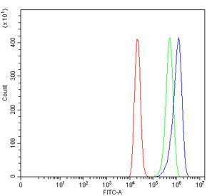 NTSR1 Antibody / Neurotensin Receptor 1