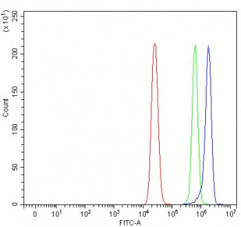 DBL Antibody / MCF2