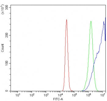 KIF5A Antibody / Kinesin heavy chain isoform 5A