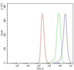 Tubulin-specific chaperone A Antibody / TBCA / CFA