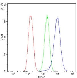 Flow cytometry testing of human U-87 MG cells with Glypican 5 antibody at 1ug/million cells (blocked