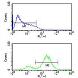 EIF4E Antibody