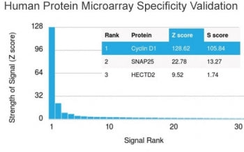 Analysis of HuProt(TM) microarray containing more than 19,000 full-length human proteins using Cycli