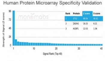 Analysis of HuProt(TM) microarray containing more than 19,000 full-length human proteins using ETS2 