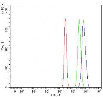 Flow cytometry testing of human HepG2 cells with TMEM104 antibody at 1ug/million cells (blocked with