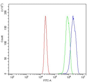 Psmb1 Antibody