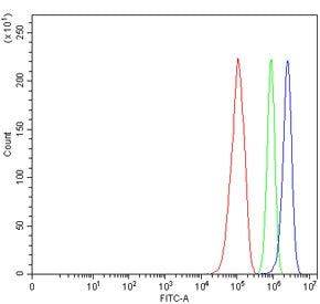 Flow cytometry testing of human RT4 cells with CD83 antibody at 1ug/million cells (blocked with goat