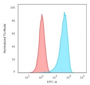 CD43 Antibody