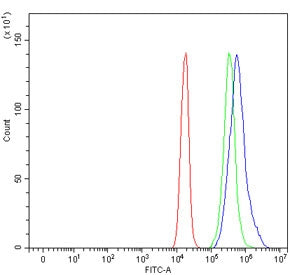 Cd204 Antibody / Msr1