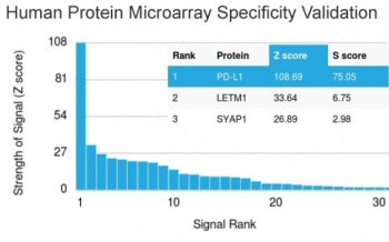 PD-L1 Antibody / B7-H1 / CD274