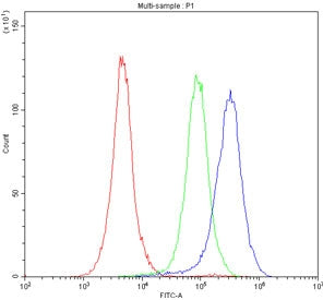 P-Selectin Antibody / CD62P