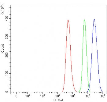 RXRA Antibody / Retinoid X Receptor alpha