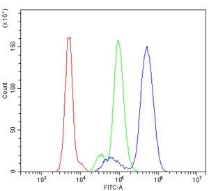 GRK2 Antibody / Beta-adrenergic receptor kinase 1