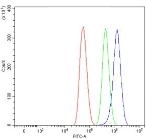 Flow cytometry testing of human U-87 MG cells with Sarcosine dehydrogenase antibody at 1ug/million c