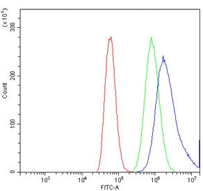 TRPA1 Antibody / TSA
