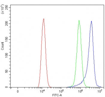 Ribonuclease K6 Antibody / RNASE6