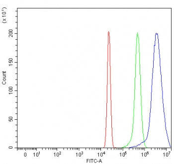 Flow cytometry testing of human HepG2 cells with OIP5 antibody at 1ug/million cells (blocked with go