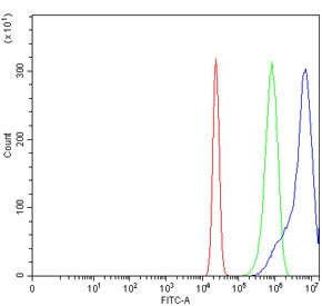 Flow cytometry testing of human U-2 OS cells with ADAMTS9 antibody at 1ug/million cells (blocked wit