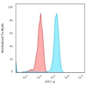 Transferrin Receptor Antibody / TFRC / CD71