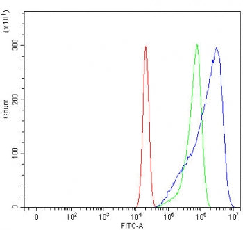 Flow cytometry testing of human U-2 OS cells with SHROOM2 antibody at 1ug/million cells (blocked wit