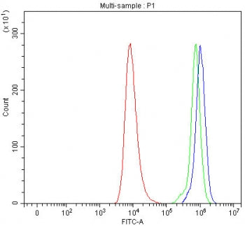 Flow cytometry testing of human HEL cells with SEC24A antibody at 1ug/million cells (blocked with go