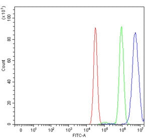 Flow cytometry testing of human MCF7 cells with BEX3 antibody at 1ug/million cells (blocked with goat sera); Red=cells alone, Green=isotype control, Blue= BEX3 antibody.