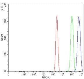 MUC1 Antibody / Mucin-1