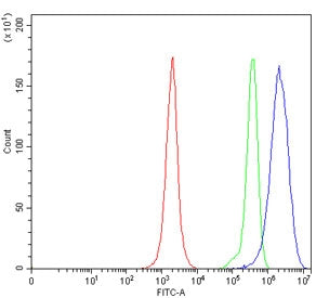 Flow cytometry testing of human JK cells with HSD17B8 antibody at 1ug/million cells (blocked with go
