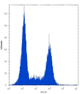 TLR9 Antibody