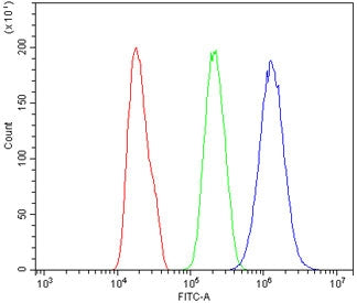 Flow cytometry testing of human PC-3 cells with CLK2 antibody at 1ug/million cells (blocked with goa