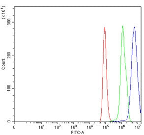 Flow cytometry testing of human HeLa cells with KLF13 antibody at 1ug/million cells (blocked with go