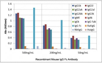 Mouse IgG Fc Antibody