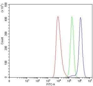 Flow cytometry testing of human HEL cells with TRIM67 antibody at 1ug/million cells (blocked with go