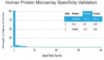 Analysis of HuProt(TM) microarray containing more than 19,000 full-length human proteins using AACT 