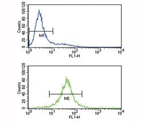 IL-10 antibody flow cytometry analysis of Jurkat cells (bottom histogram) compared to a negative con