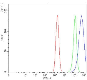 Caspase-9 Antibody