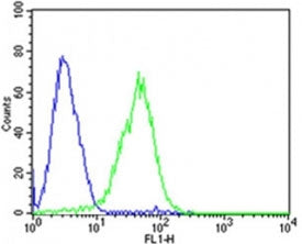 Flow cytometric analysis of HepG2 cells using Dlk1 antibody (green) compared to an isotype control o