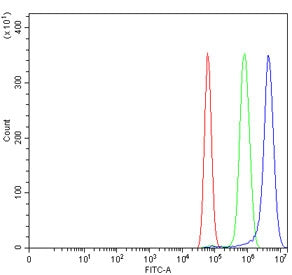 Flow cytometry testing of human U-87 MG cells with AGO1 antibody at 1ug/million cells (blocked with goat sera); Red=cells alone, Green=isotype control, Blue= AGO1 antibody.