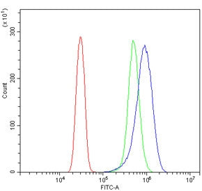SOCS3 Antibody