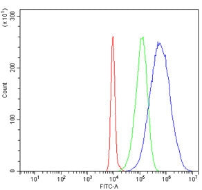 TRAP-1 Antibody / HSP75