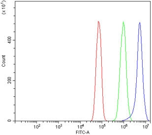 Flow cytometry testing of rat RH35 cells with Timp1 antibody at 1ug/million cells (blocked with goat