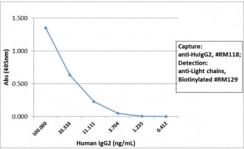 Human IgG2 Antibody