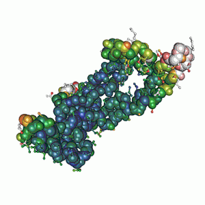 Ribonuclease T1, Chromatographically Purif.