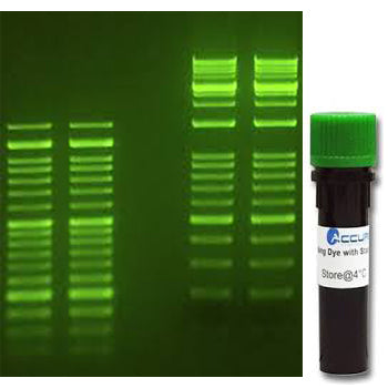 SmartGlow™ Loading Dye with Safe Green Stain, 1.0ml