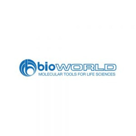 AKT1 (E40) polyclonal antibody