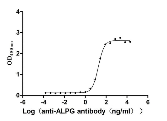 ALPG Recombinant Monoclonal Antibody