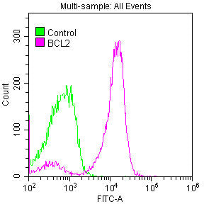BCL2 Antibody
