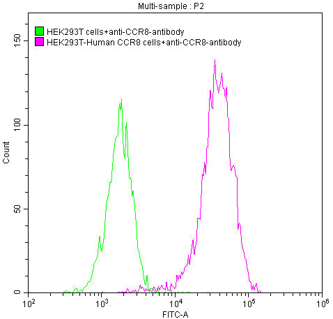 CCR8 Recombinant Monoclonal Antibody