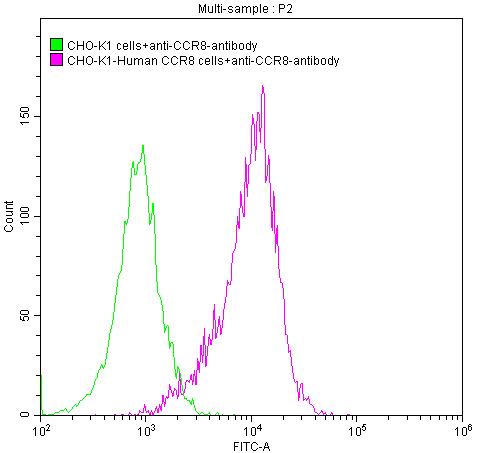 CCR8 Recombinant Monoclonal Antibody